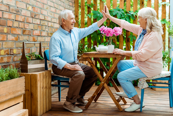 alegre pareja de ancianos dando alta cinco mientras está sentado cerca de flores de color rosa en la terraza
  - Foto, Imagen