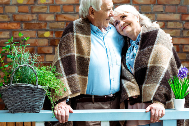 花鉢の近くに格子状の毛布に立ちながら微笑む陽気な年金生活者  - 写真・画像