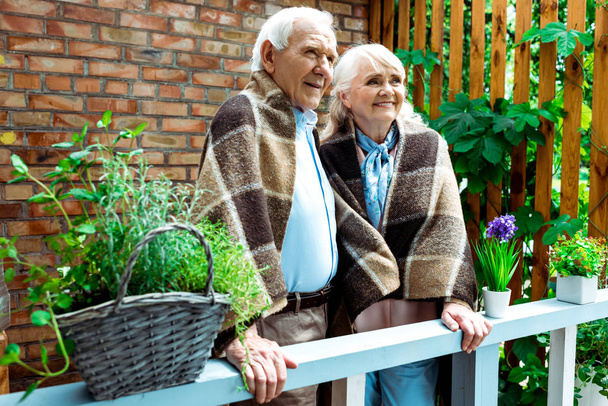 植物の近くに格子状の毛布に立っている幸せな先輩の妻と夫の選択的な焦点  - 写真・画像