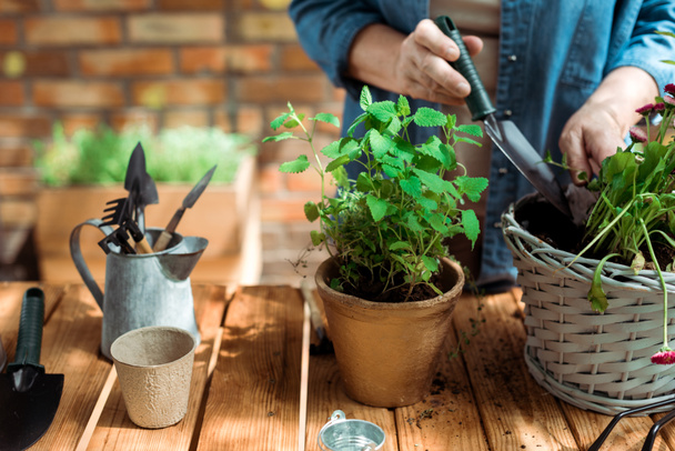 cropped view of retired woman holding shovel near flowerpot and plants - Foto, Imagen