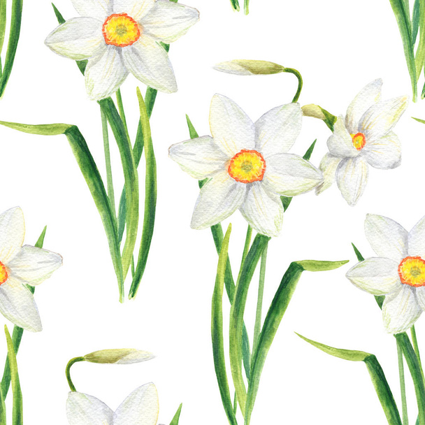 Watercolor narcissus flower seamless pattern. Hand drawn daffodil bouquet illustration isolated on white background - Photo, image