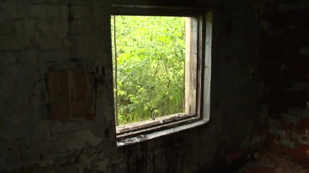 abandoned factory building. Oil toxic remains. Environmental pollution. - Footage, Video