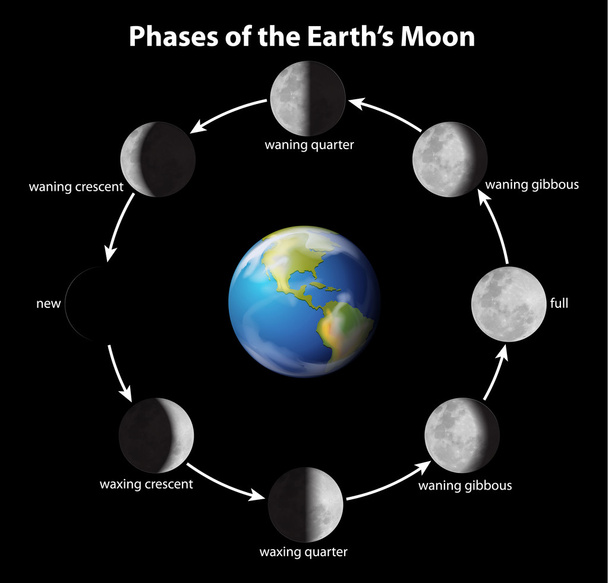Fases da lua - Vetor, Imagem