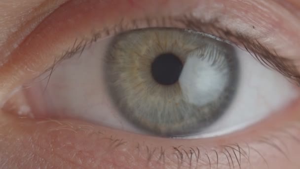 Крупный план зеленого глаза с уменьшающимся зрачком
. - Кадры, видео
