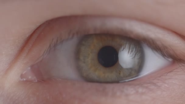 Close-up shoot of greenish eye blinking fastly and shrinking the pupil. - Footage, Video