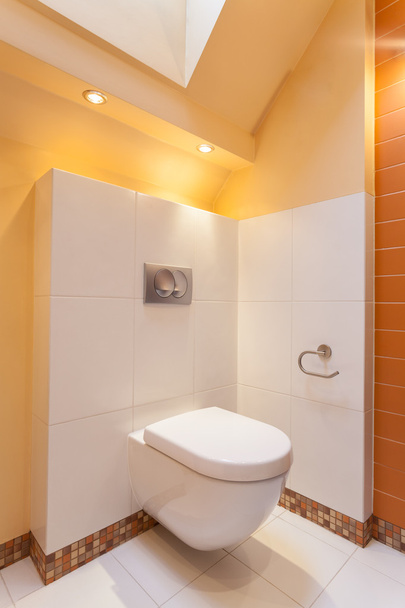 Classy house - toilet - Foto, Imagen