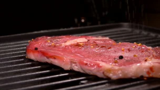 Salz fällt in Zeitlupe in Großaufnahme auf ein Steak - Filmmaterial, Video