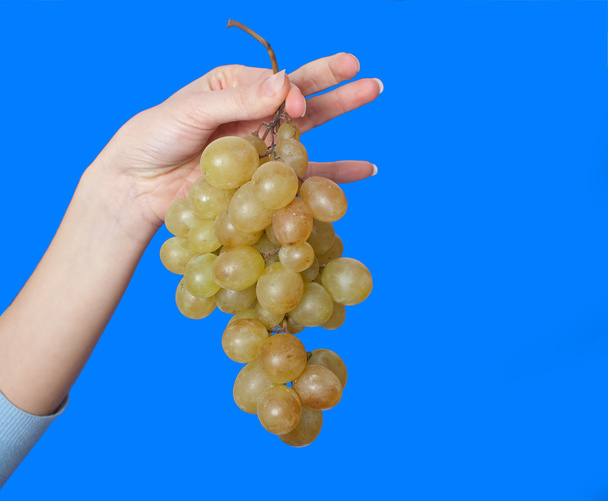 Grape - Photo, Image
