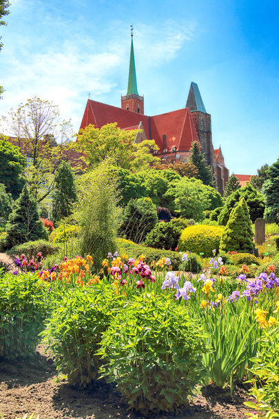 WROCLAW, POLAND - MAY 30, 2019: Botanical Garden in Wroclaw, Poland. The garden was built from 1811 to 1816 on the Cathedral Island (Ostrow Tumski), the oldest part of the city. - Foto, Imagem