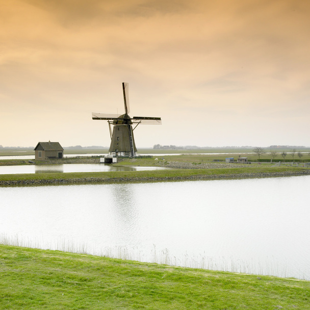 wiatrak w Holandii - Zdjęcie, obraz