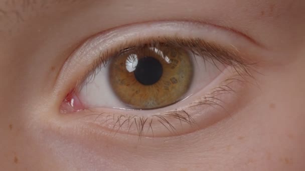 Közeli hajtás a kaukázusi személy, barna szemek figyelte rightwards és Baloldal megfigyelése környéke. - Felvétel, videó