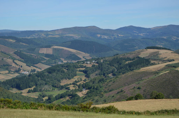 Majestueuze bergen van Galicië vol valleien dennenbossen weilanden en bossen van eucalyptus in Rebedul. 3 augustus 2013. Rebedul, Lugo, Galicië, Spanje. Landelijk toerisme, natuur. - Foto, afbeelding