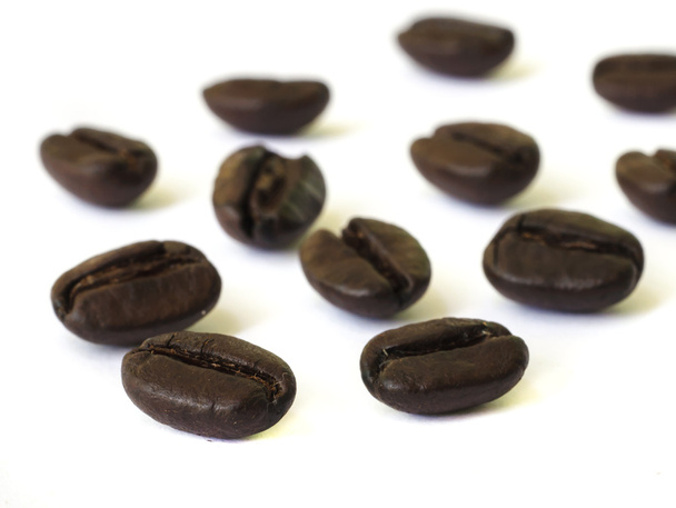 semillas de café
 . - Foto, imagen