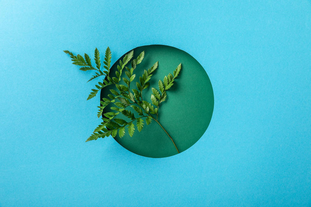 geometric background with green fern leaf in round hole on blue paper  - Photo, Image