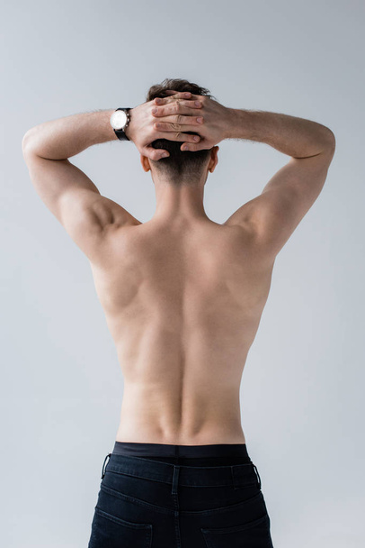 Rückseite des hemdlosen, muskulösen Mannes in Jeans isoliert auf grau - Foto, Bild