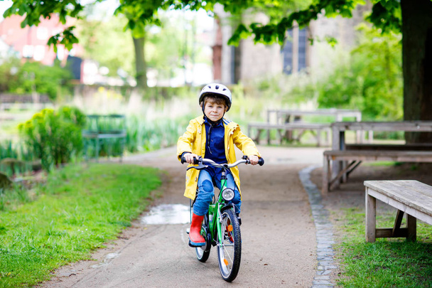 Cute little preschool kid boy riding on bicycle in park. - Valokuva, kuva