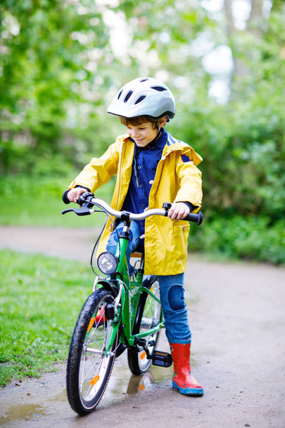 Cute little preschool kid boy riding on bicycle in park. - Photo, Image