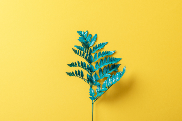 green fern leaf on yellow paper background - Photo, Image