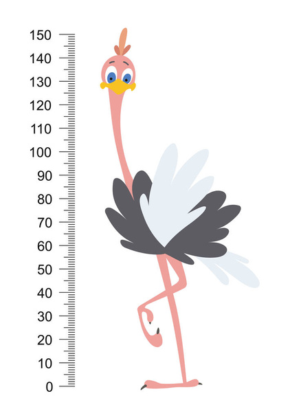Meterwall or height meter with tall surprising ostrich. - Vector, Image