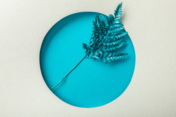 blue fern leaf in round hole on white paper   - Photo, Image