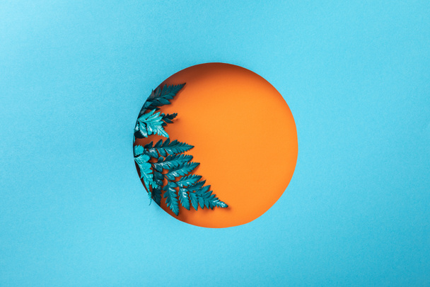 blue fern leaf in orange geometric hole on blue paper  - Фото, изображение
