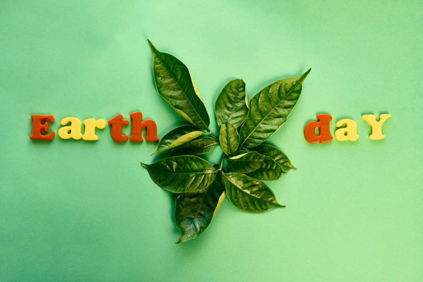 Большой зеленый лист растения и слова День Земли, вид сверху
 - Фото, изображение