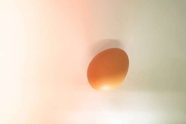 Yumurta ışık etkisi ile beyaz arka plan üzerinde izole - Fotoğraf, Görsel