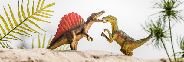 foco seletivo de dinossauros de brinquedo rugindo na duna de areia com folhas tropicais, tiro panorâmico
 - Foto, Imagem