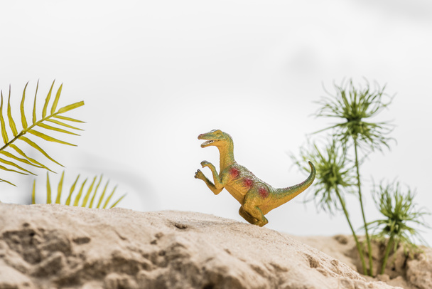 вибірковий фокус іграшкового динозавра на піщаній дюні з тропічним листям
 - Фото, зображення