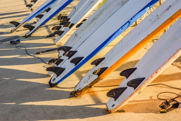 дошки для серфінгу
 - Фото, зображення