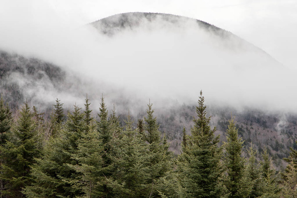 Nazelenalé hory s nízkými mraky - Fotografie, Obrázek