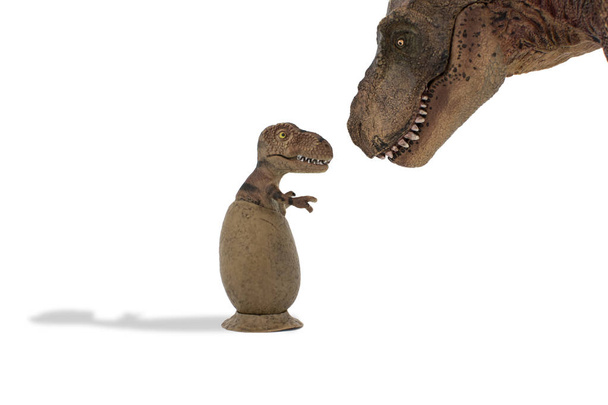 Doce bebê tiranossauro rex em ovo com tiranossauro rex isolado no fundo branco
 - Foto, Imagem