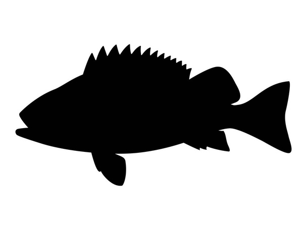 Vector illustration black silhouette of sea bass - Вектор, зображення