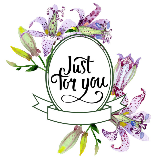 Violet tricyrte fleurs botaniques florales. Ensemble d'illustration de fond aquarelle. Cadre bordure ornement carré
. - Photo, image