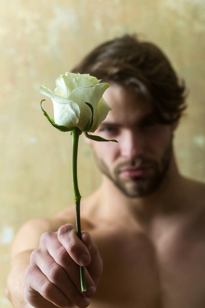 Rose and man. Flower on foreground. Handsome face of man in background of a rose. Shop of beautiful flowers as a gift to a woman. Man giving a white rose to the camera - Fotografie, Obrázek