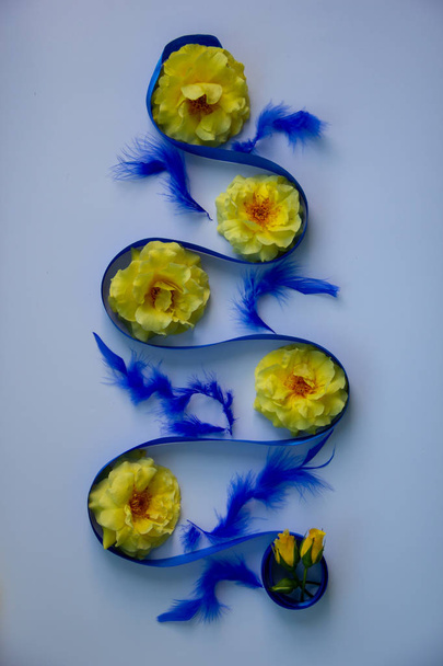 Жовті ароматні троянди, шовкова декоративна синя стрічка, пташине синє пір'я декоративно лежать на білому тлі
. - Фото, зображення