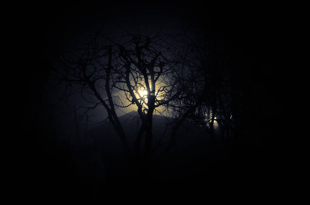 Temná noc se měsíc - Fotografie, Obrázek