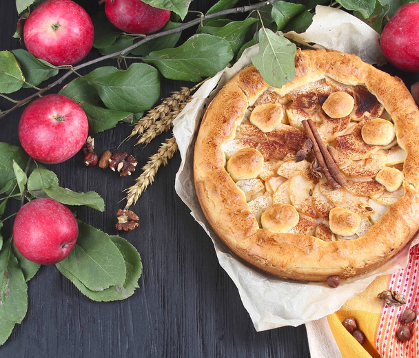 Homemade apple cake pie  with fresh apples with leaves dark wooden background. - Foto, afbeelding