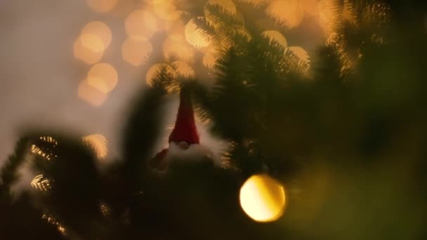 Gnome hiding in a Christmas tree - Footage, Video