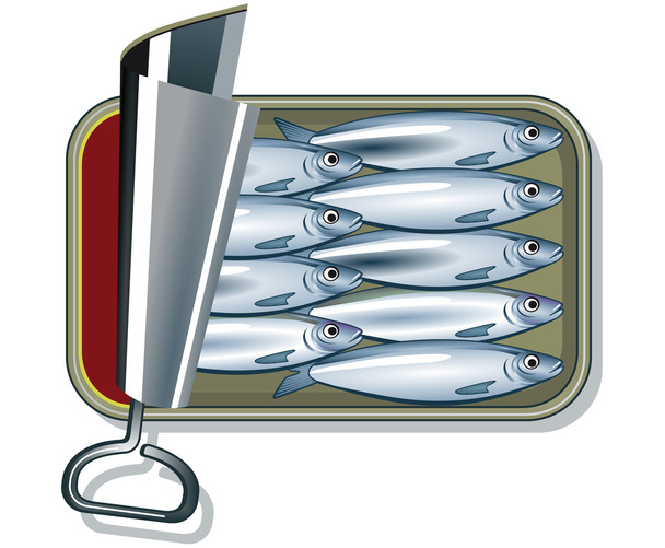 Sardines in oil - Vector, Image