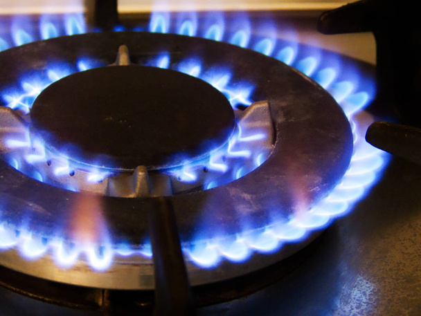 Modrý oheň z domácího kuchyňského sporáku, plameny spalování plynu - Fotografie, Obrázek