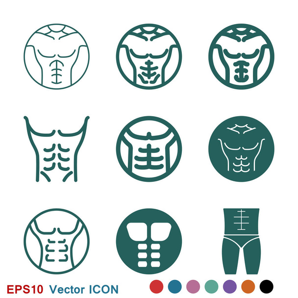 Weight loss icon vector sign symbol for design - Vector, Image