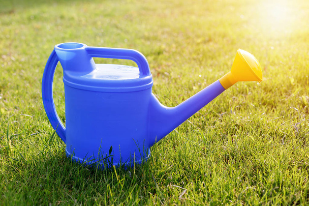 lata de rega de plástico azul com uma lente amarela em um gramado verde
 - Foto, Imagem