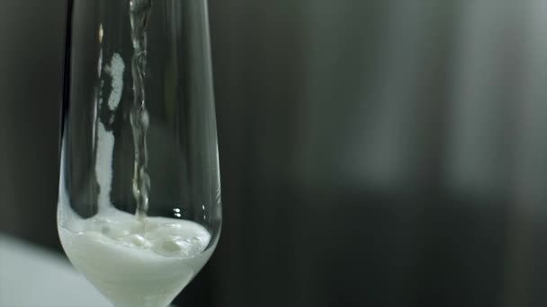 Pour champagne into a glass - Felvétel, videó