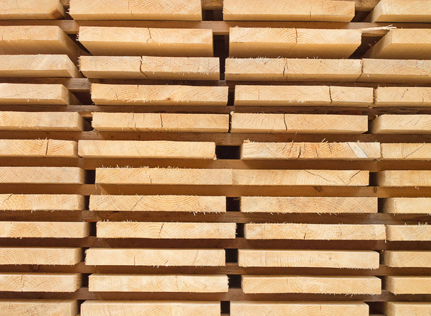 Fresh wooden studs - Foto, Imagen