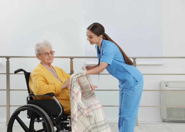 Enfermera cubriendo a una mujer mayor en silla de ruedas con cuadros en el hospital. Asistencia médica
 - Foto, imagen