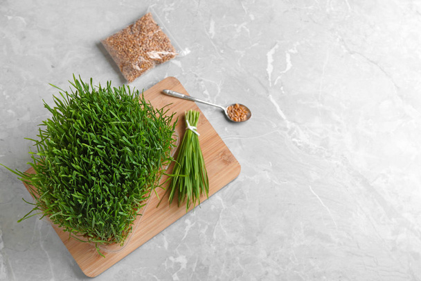 Flat lay composition with green wheat grass on table, space for text - Photo, Image
