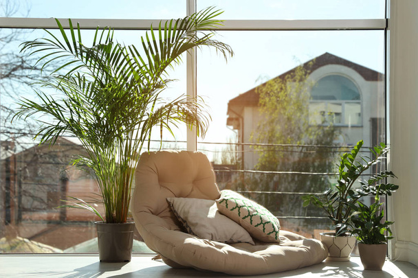 Cozy place with armchair pillow and potted plants at home - Foto, immagini