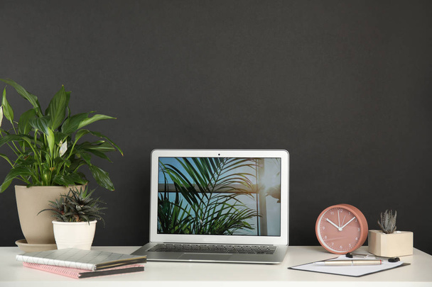 Houseplants and laptop on table in office interior - Φωτογραφία, εικόνα