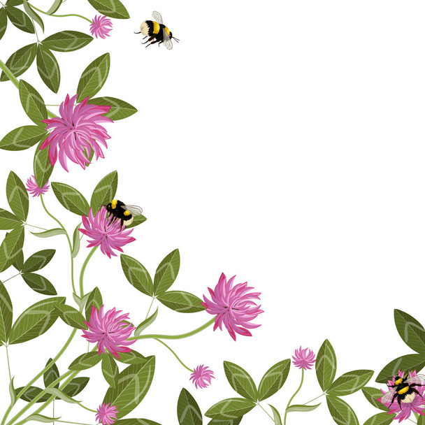 Corner border of clover leaves, flowers and bumblebees, empty floral frame on a white background. Vector composition. - Vector, Image